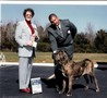In Memorian - Fila Brasileiro Tigrado - Canil Singular - Motivador